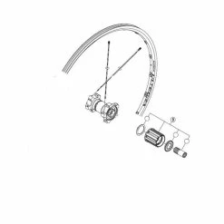 Corps Roue Libre Shimano Ultegra WH-6700 Y4FP98050